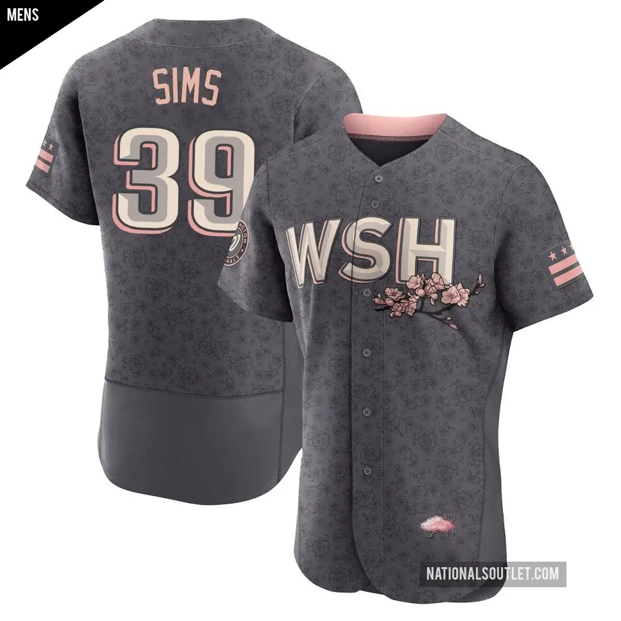Men's Washington Nationals ＃39 Lucas Sims Authentic Gray 2022 City Connect Jersey