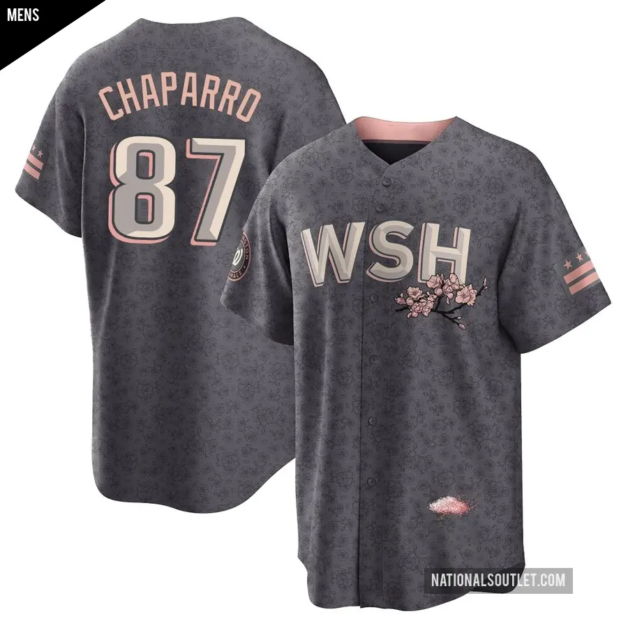 Men's Washington Nationals ＃87 Andres Chaparro Replica Gray 2022 City Connect Jersey